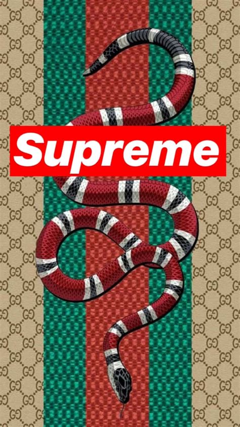 wallpaper supreme gucci logo.